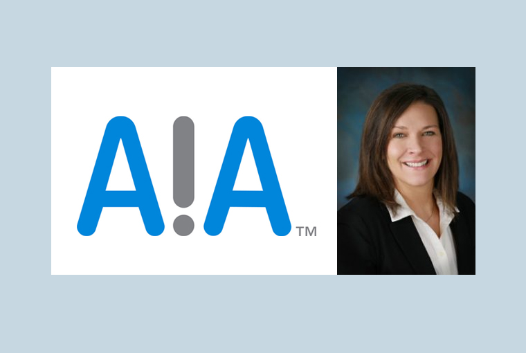 AIA Corporation Names Nancy K. Schmidt as New CEO